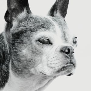 Meet your Posher, Corynna